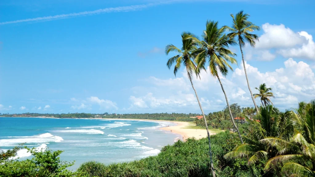 des_11_bentota